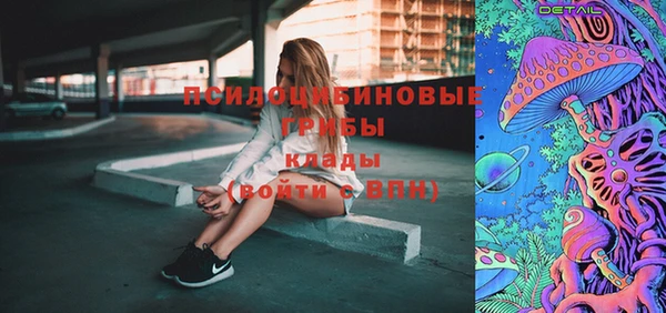 метадон Гусев