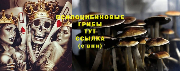 мескалин Гусиноозёрск