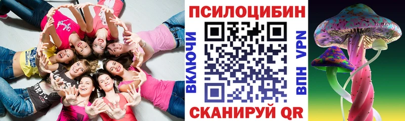 Галлюциногенные грибы Psilocybe  Купить  Нарьян-Мар 